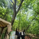 웃고문화사 - 중구 퇴계로30길 3-8 | 웃고문화사
