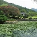 목포시민문화체육센터 공연장 이미지