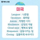 랭거(Languor) 이미지