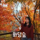 곤지암읍-12 | 화담숲 단풍 실시간 현황 및 막차 탑승 후기, 모노레일 예약 꿀팁