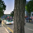 수원-1573 이미지