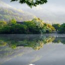 눈꽃흐드러지다 | 천년의 연못, 위양지(位良池)