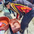 세진민박 이미지