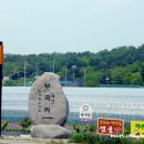 논메기 매운탕