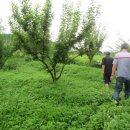 현배농장 이미지