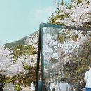 동삼1동-3 네이버블로그