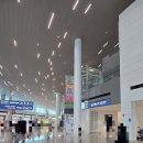 [면세점] 인천공항 면세점 인도장 수령(228 인근) 및 마티나 라운지 대기줄 후기 (249번 근처 위치)