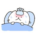 신성대형카세차장 이미지