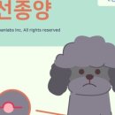 서울대동물종합병원 이미지