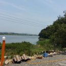 큰나무민박 이미지