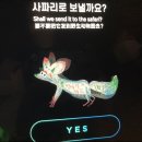 [전시회] 제주-<아르떼뮤지엄>-국내최대몰입형 미디어아트전시관