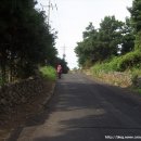 대포연대 이미지