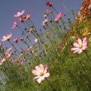 가신원통길 이미지