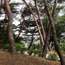경남 김해 - 가락국의 탄생설화가 전해지는 구지봉龜旨峰
