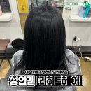 청주 | 미용실 성안길[리히트헤어] 염색 후기