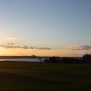 유니카트 이미지