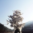 동화메디칼 이미지
