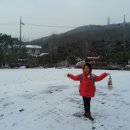 숲속다예린유치원 이미지