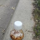 고운주유소 이미지