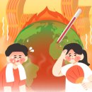 신탕 | 2025 초복 중복 말복 날짜 및 삼복 보양식 추천