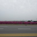 부적우체국 맞은편 이미지