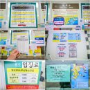대소경로당 | 푸른 바다, 녹음 짙은 섬, 하얀 구름이 끝내줬던 외도보타니아