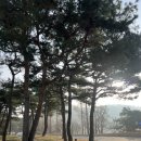 파인크리크CC클럽하우스 | 파인크리크cc 3월 날씨 라운딩 후기 클럽하우스 아침 식사 조식 맛집