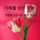 화평기획 이미지