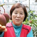 새미래농장 이미지