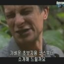 왕푸징 이미지