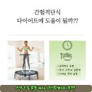 웰니스점핑하이