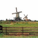 보전간척지 이미지