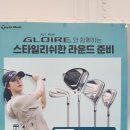 논산 골프샵 테일러메이드 올뉴글로리 여성 아이언 시타 교환 후기