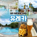 유레카 | 아이와 경주 힐튼호텔 수영장 유레카 후기｜체크인 전 이용, 요금, 운영시간, 풀사이드