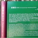 명승