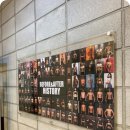 머슬마인드 이미지