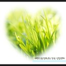 주식회사새한환경