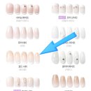 시안아트 | 웨딩 촬영 &lt;하남 섬스튜디오&gt; 촬영 준비 후기 2 (부케, 촬영시안, 네일아트, 다이어트, 간식)