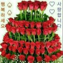 꽃 이미지