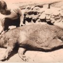 하송농장 이미지