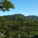 축령산휴림 이미지