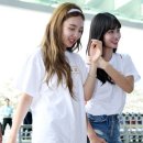 모모 이미지