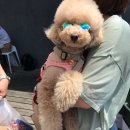 땡큐마켓 이미지