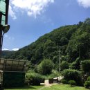 삼촌네 펜션 이미지