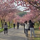 문*수 - 안양시 만안구 | 문*수