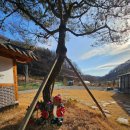 산들애펜션 | 천안펜션 산들애 한옥펜션, 자연공기 가득한 독채 여행 후기🌲