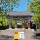 봉수산숲카페 | [충남 예산] 1박2일 여행 후기｜수덕사·덕산온천·예산시장 추천