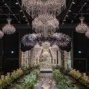 로터스(주) 이미지