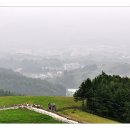 강릉목장 이미지