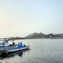 진이식당 이미지